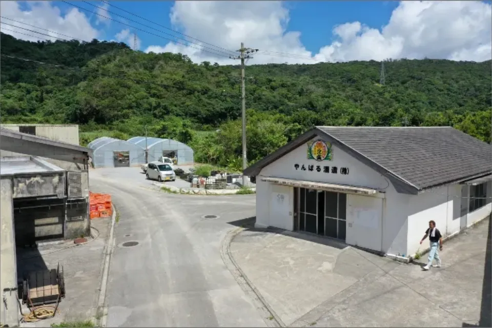 Yanbaru Sake Brewery