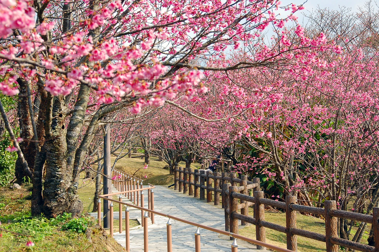 名護城公園（なごぐすくこうえん）